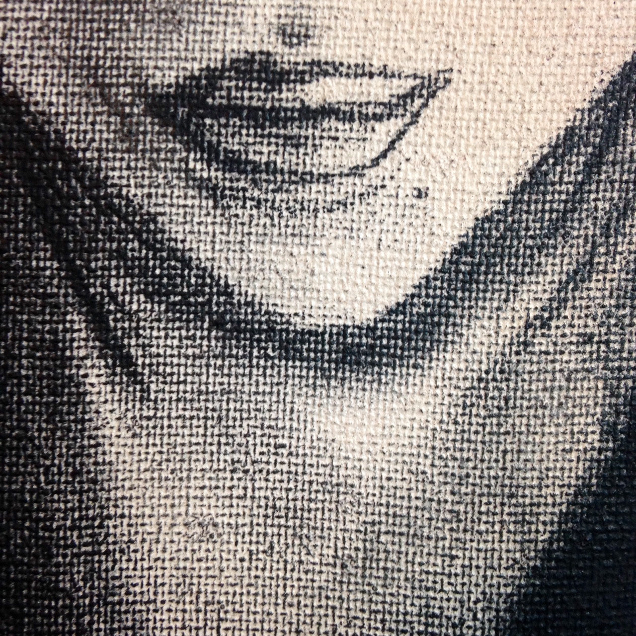 Day 290- Self-Portrait- Tribute to Kathe Kollwitz