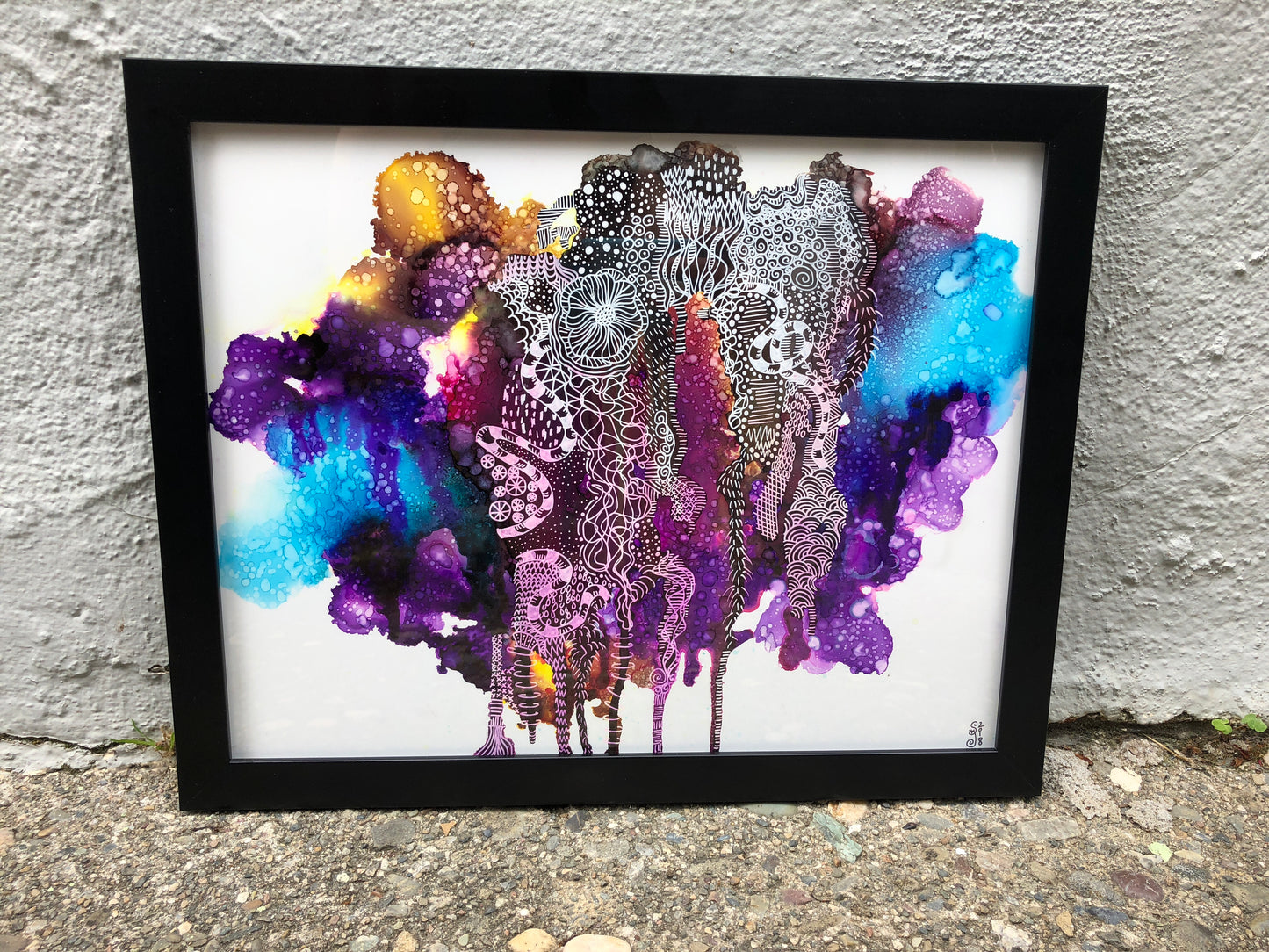 Bloom