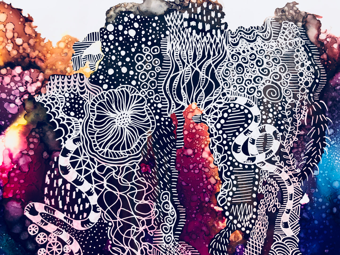 Bloom