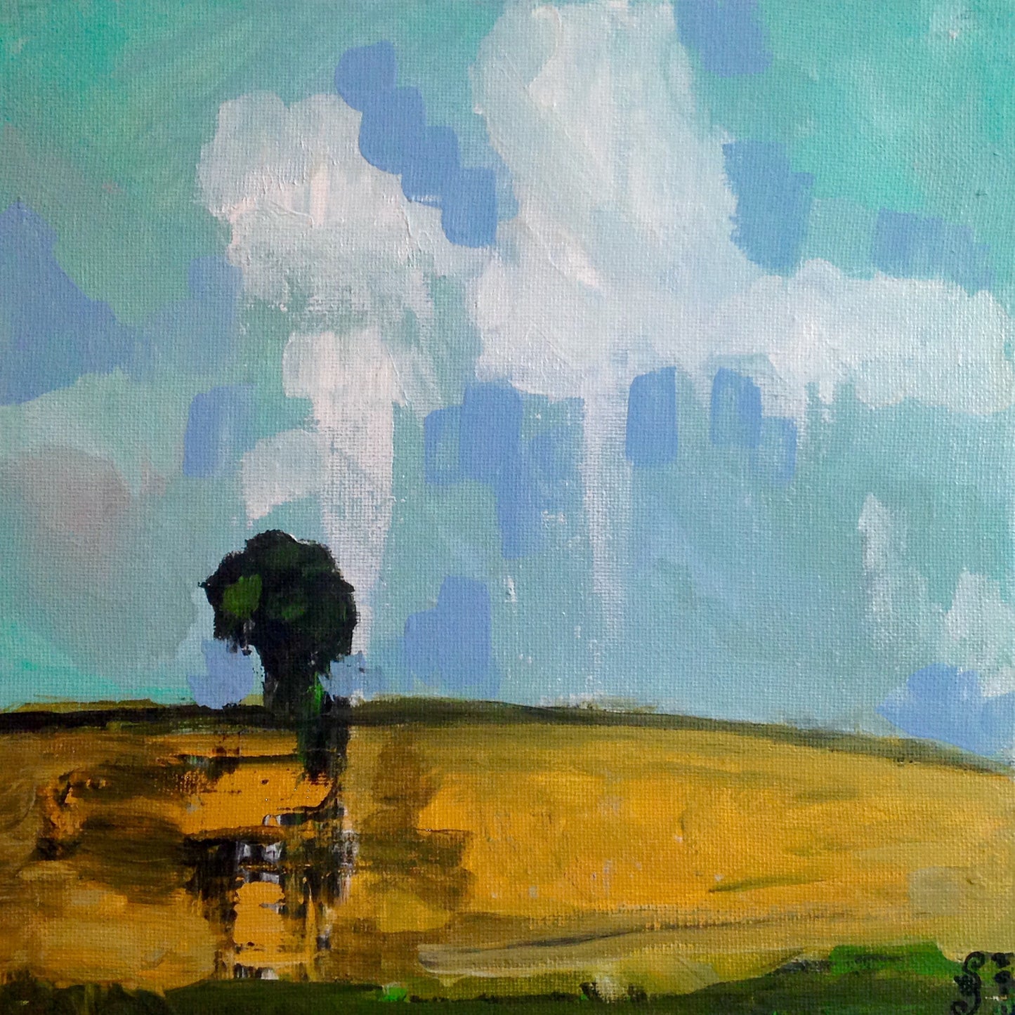 Day 271- Lonely Tree- Tribute to Pamela Munger (Reserved for Amy Prosser)