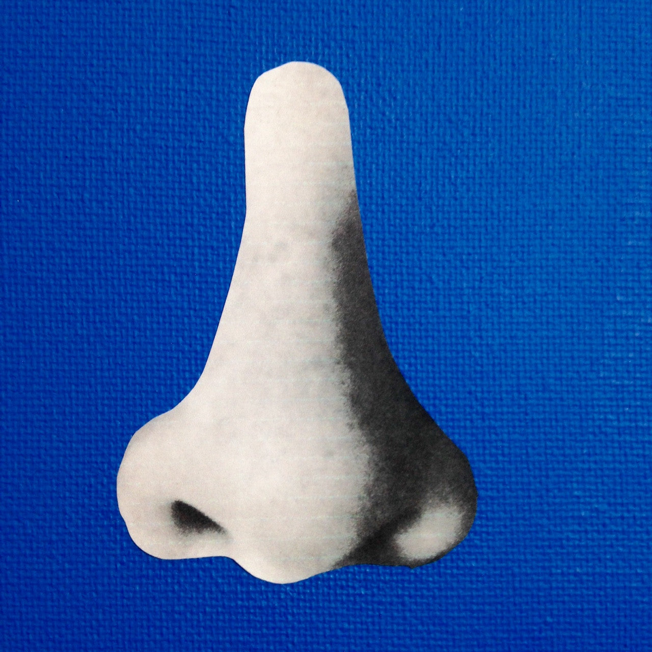Day 312- Me in Blue- Tribute to John Baldessari