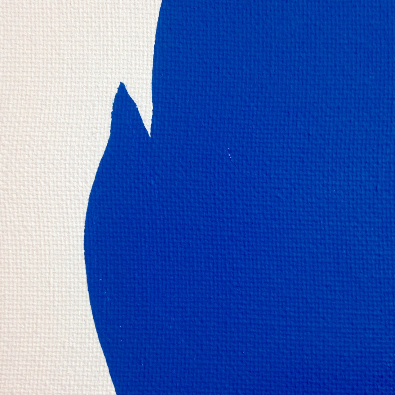 Day 312- Me in Blue- Tribute to John Baldessari