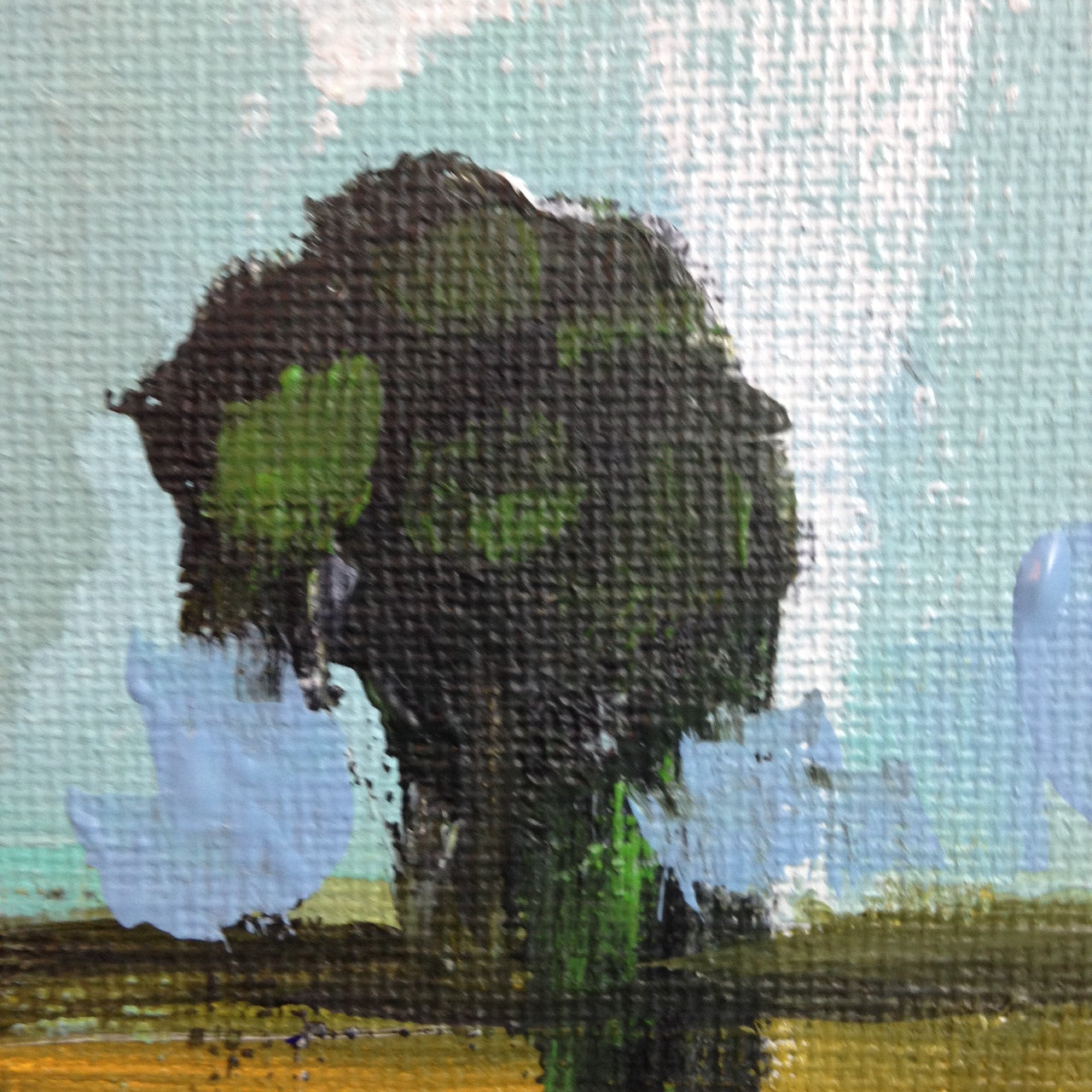 Day 271- Lonely Tree- Tribute to Pamela Munger (Reserved for Amy Prosser)